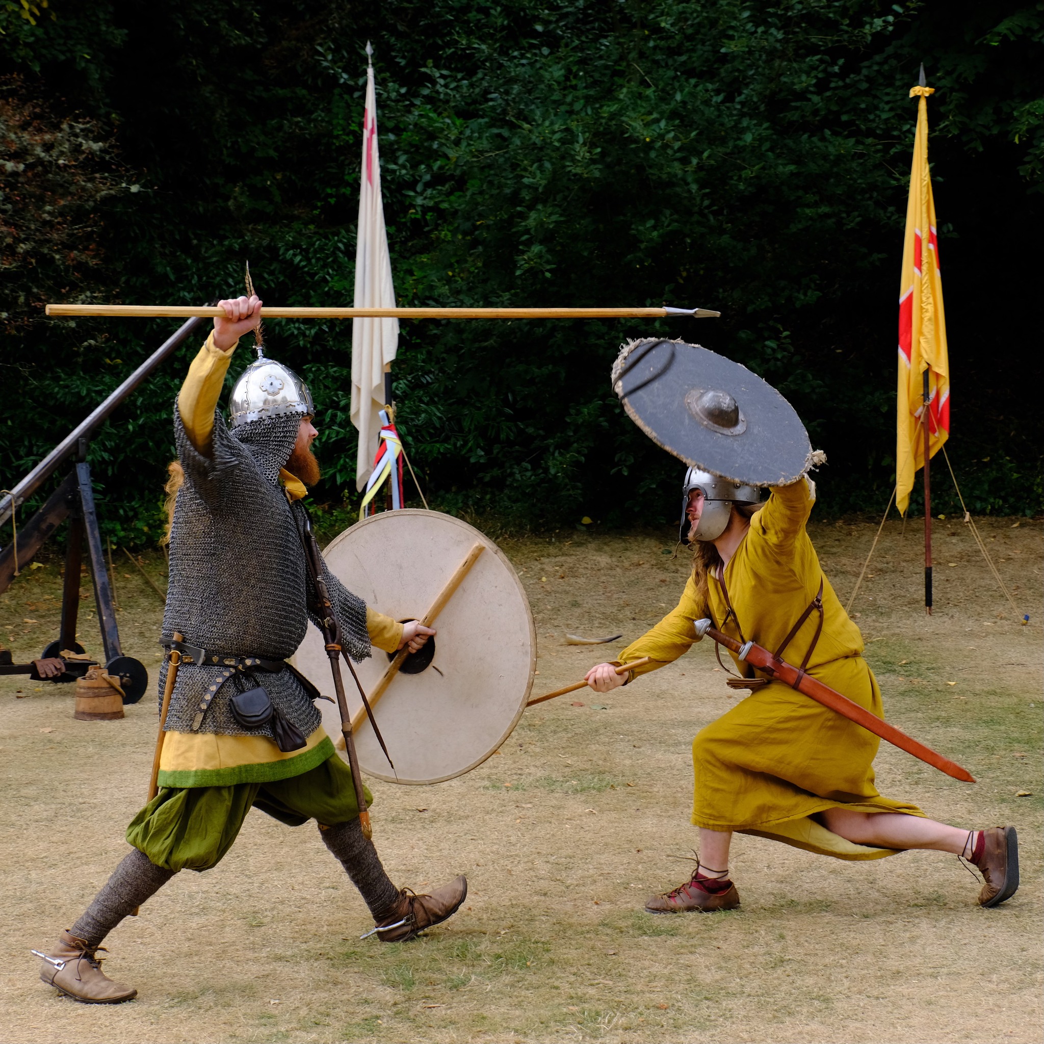 Vikings and Medieval